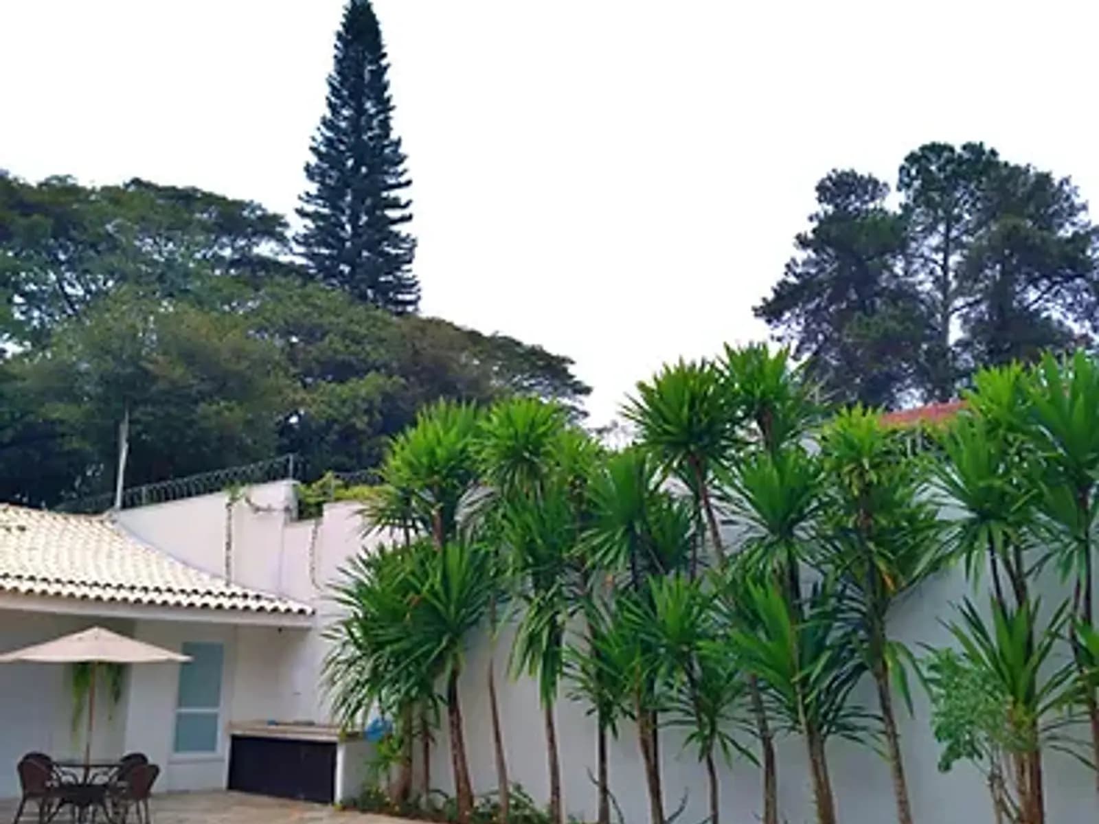 Yucas residenciais